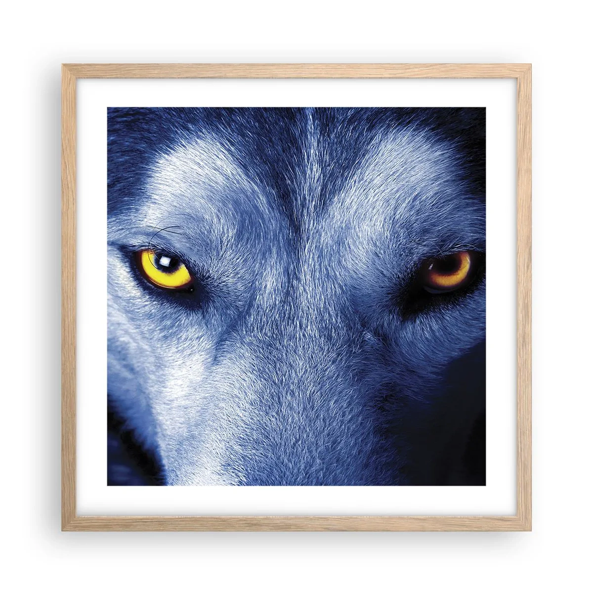 Affiche dans un chêne clair - Poster - Regars hypnotique - 50x50 cm