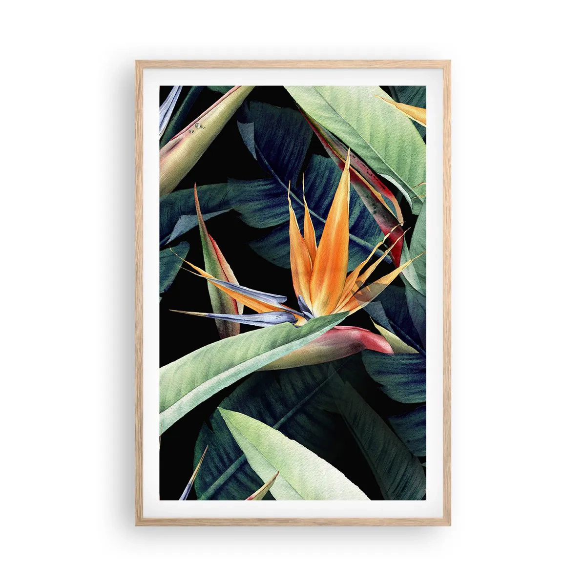 Affiche dans un chêne clair - Poster - Fleurs flamboyantes des tropiques - 61x91 cm