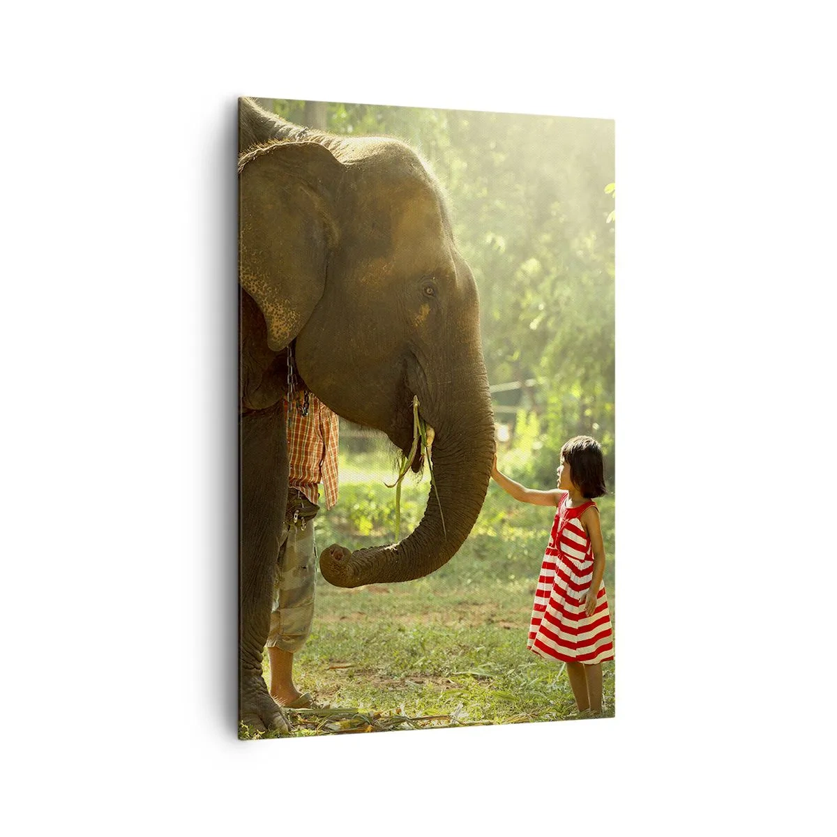 Impression sur toile - Image sur toile - Une fille en robe rouge touchant un éléphant dans la forêt. - 80x120cm - La force de l'amitié - Décoration murale moderne pour le salon et la chambre ARTTOR