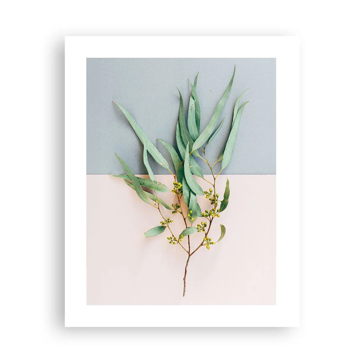 Affiche - Poster - Subtilité pastel - 40x50 cm