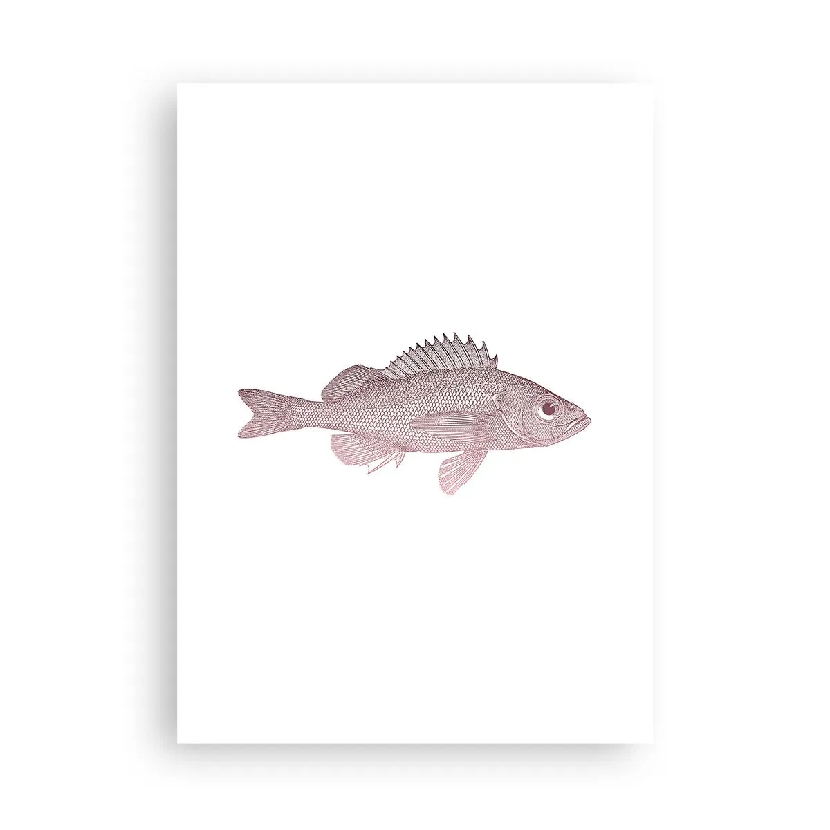 Affiche - Poster - Graphique de poisson sur fond blanc dans un style minimaliste - 50x70cm - Poisson aux grands yeux - Décoration murale moderne pour le salon et la chambre ARTTOR
