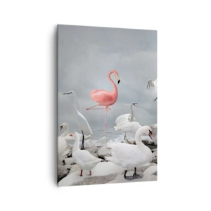 Impression sur toile - Image sur toile - Un flamant rose parmi des cygnes blancs sur fond de lac - 70x100cm - Comment suis-je arrivé là? - Décoration murale moderne pour le salon et la chambre ARTTOR