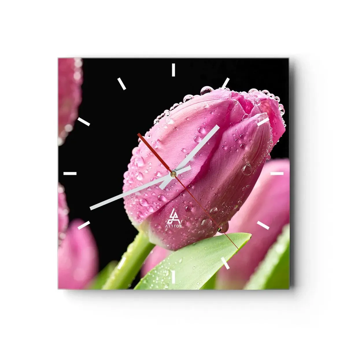 Horloge murale - Pendule murale - Tulipe rose avec des gouttes d'eau sur fond noir - 30x30cm - Rêve de lilas dans la rosée - Décoration murale moderne pour le salon et la chambre ARTTOR