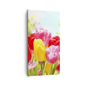 Impression sur toile - Image sur toile - C'est nous, les couleurs de Mai! - 65x120 cm