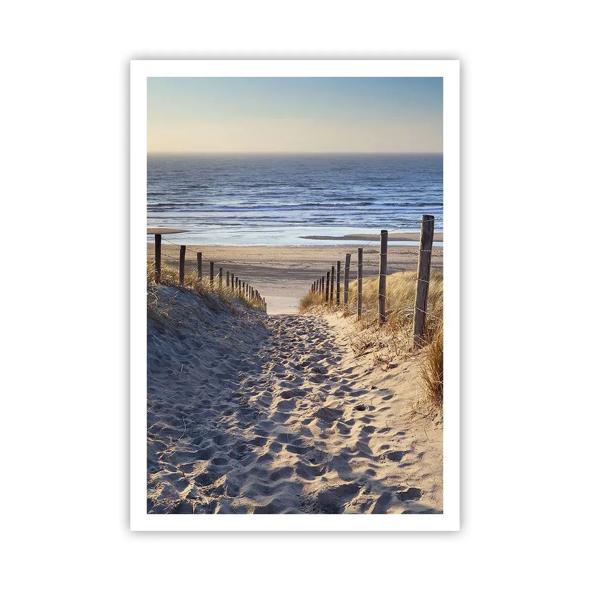 Affiche - Poster - Le bruit de la mer, le chant des oiseaux, une plage sauvage parmi les herbes… - 70x100 cm
