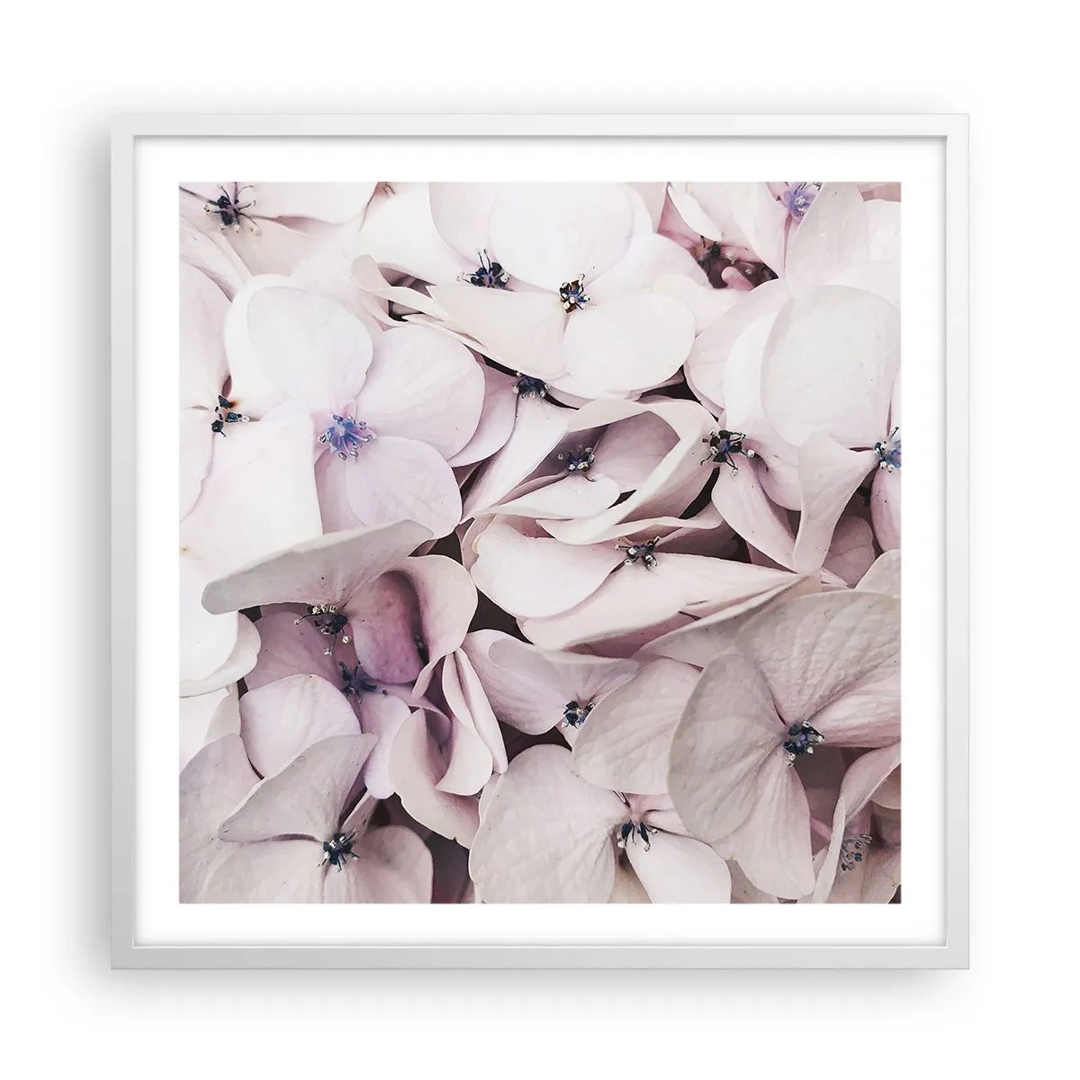 Affiche dans un cadre blanc - Poster - Dans un flot de fleurs - 60x60 cm