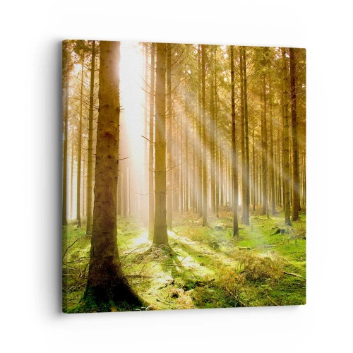 Impression sur toile - Image sur toile - Les elfes vont bientôt apparaître - 30x30 cm
