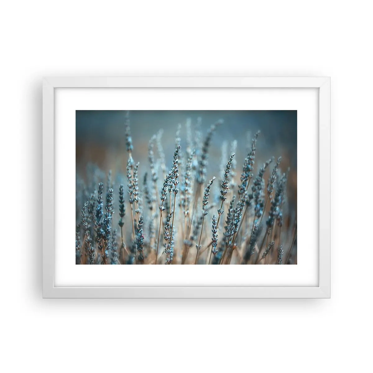 Affiche dans un cadre blanc - Poster - Tige odorante - 40x30 cm