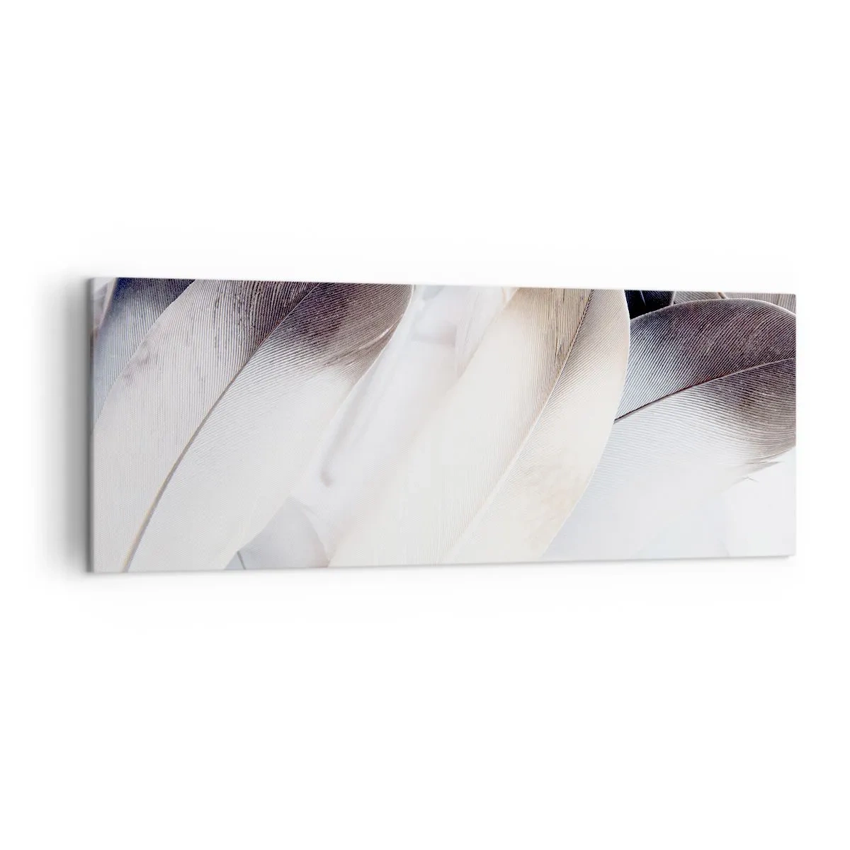 Impression sur toile - Image sur toile - Gros plan de plumes délicates dans des tons de blanc et de gris - 140x50cm - Presque angélique - Décoration murale moderne pour le salon et la chambre ARTTOR