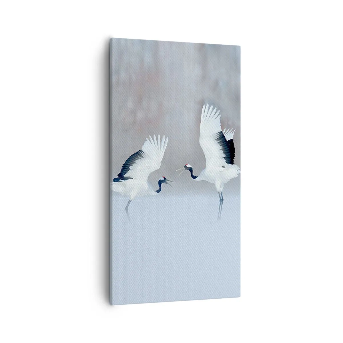 Impression sur toile - Image sur toile - Danse dans le brouillard - 55x100 cm