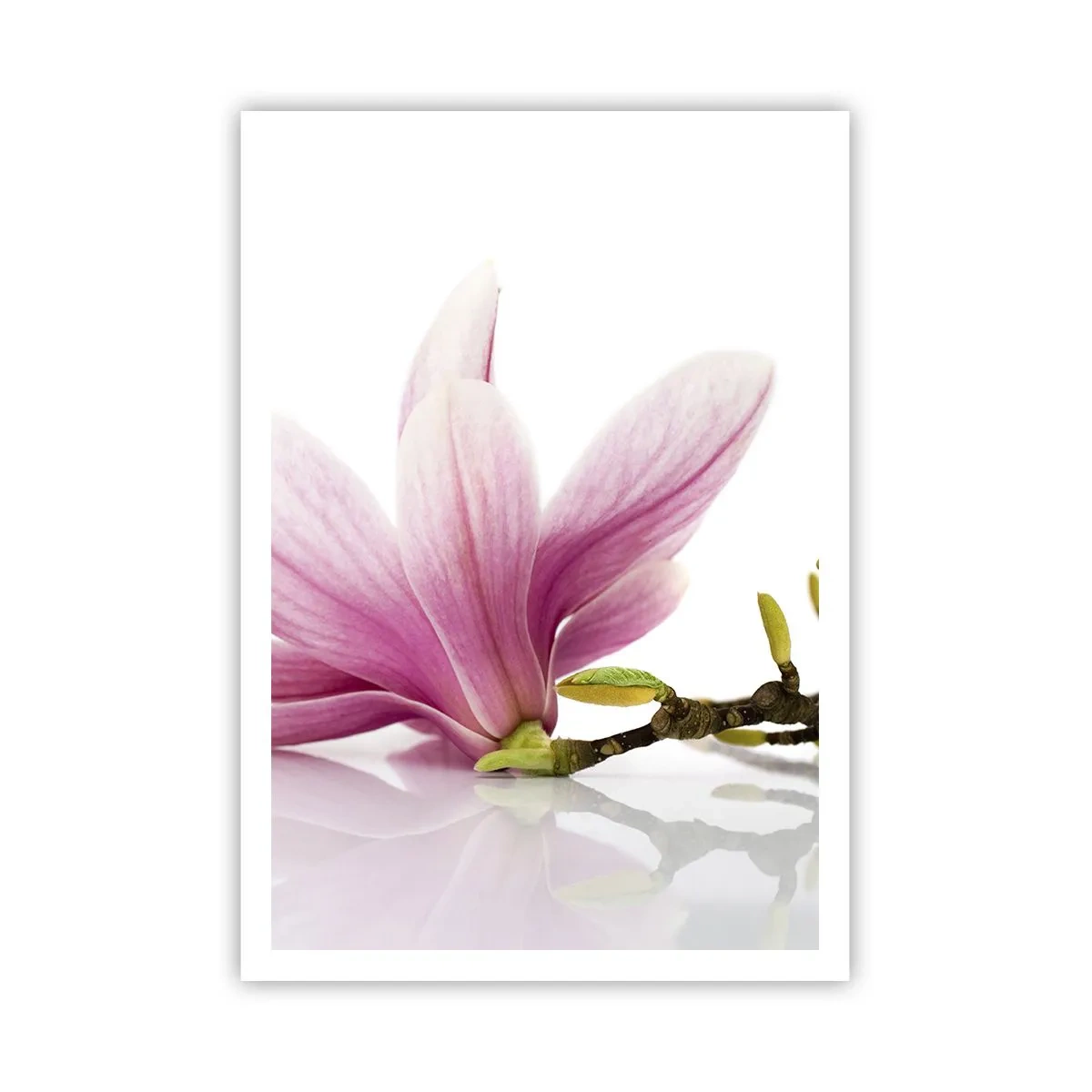 Affiche - Poster - Délicat comme une brise de printemps - 70x100 cm