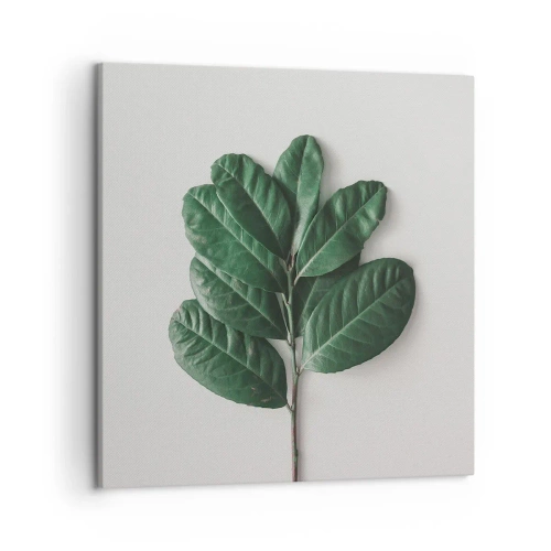 Impression sur toile - Image sur toile - Dessin de la nature elle-même - 50x50 cm