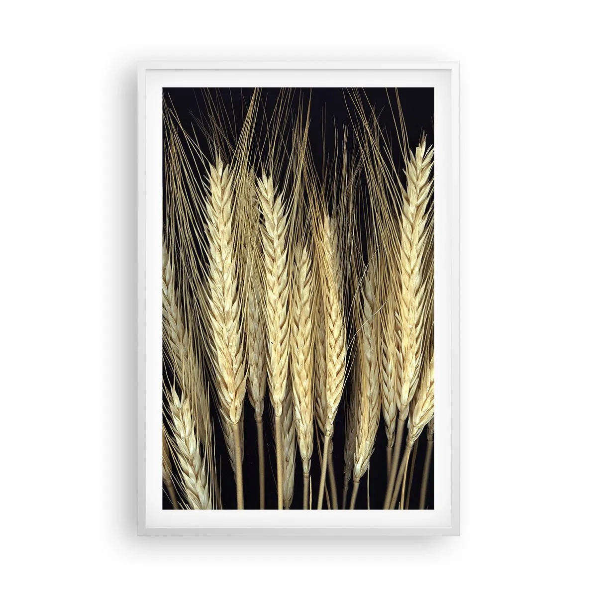 Affiche dans un cadre blanc - Poster - Magie rustique - 61x91 cm