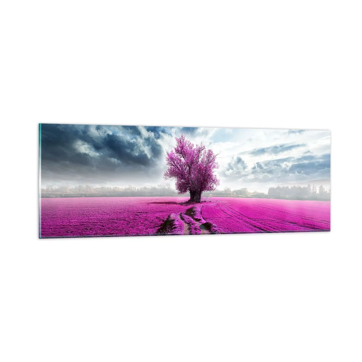 Impression sur verre - Image sur verre - Lande - nature sauvage - 90x30 cm