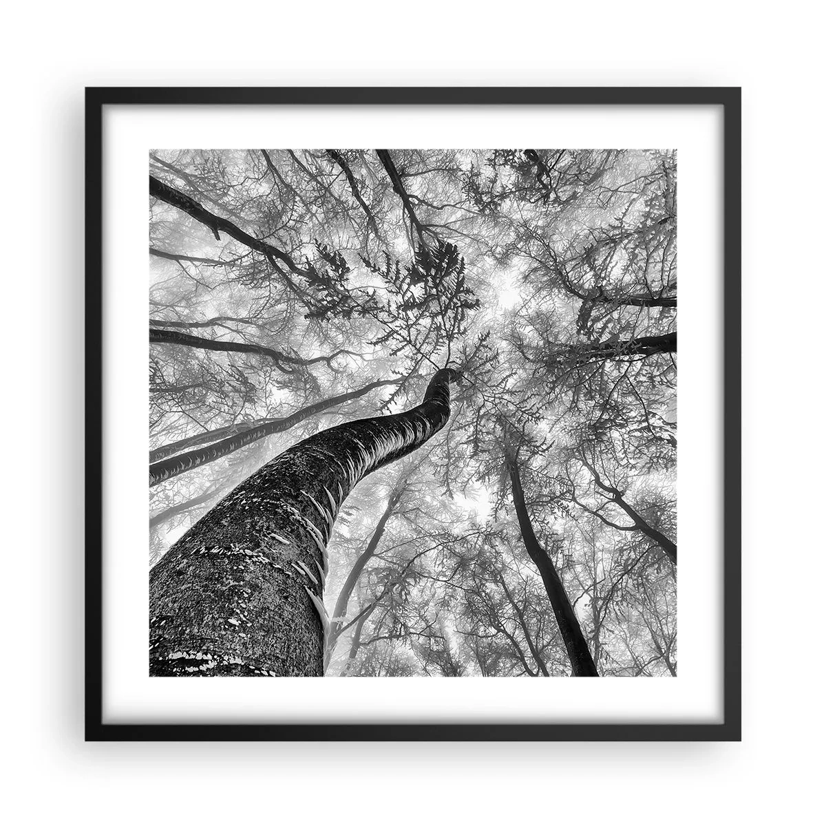 Affiche dans un cadre noir - Poster - Course vers la lumière - 50x50 cm