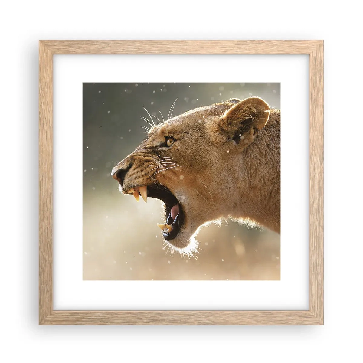 Affiche dans un chêne clair - Poster - Essayez  de ne pas écouter - 30x30 cm