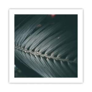 Affiche - Poster - Précision de la nature - 50x50 cm