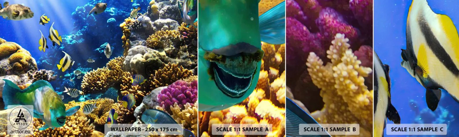 Échantillon de Papier Peint Autocollant Deluxe Sticker - Beaucoup de circulation sur la route des vacances - récif de corail, Océan, Poisson - 100x30 cm