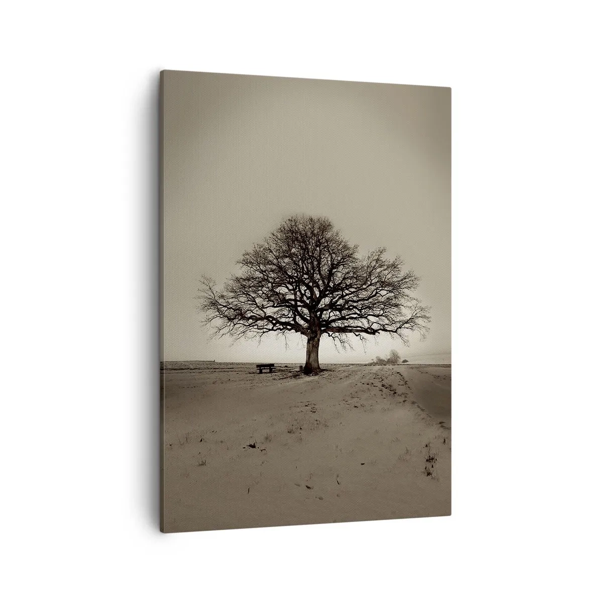 Impression sur toile - Image sur toile - Un arbre solitaire dans un champ de sépia - 50x70cm - D'ici à l'éternité - Décoration murale moderne pour le salon et la chambre ARTTOR