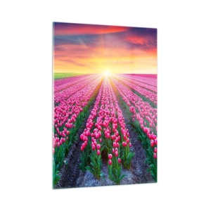 Impression sur verre - Image sur verre - Un champ de tulipes roses dans les rayons du soleil couchant - 50x70cm - Ferme de la beauté - Décoration murale moderne pour le salon et la chambre ARTTOR