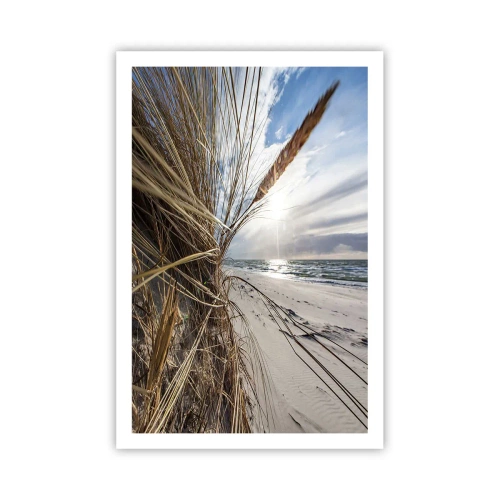 Affiche - Poster - Rencontre des éléments - 61x91 cm