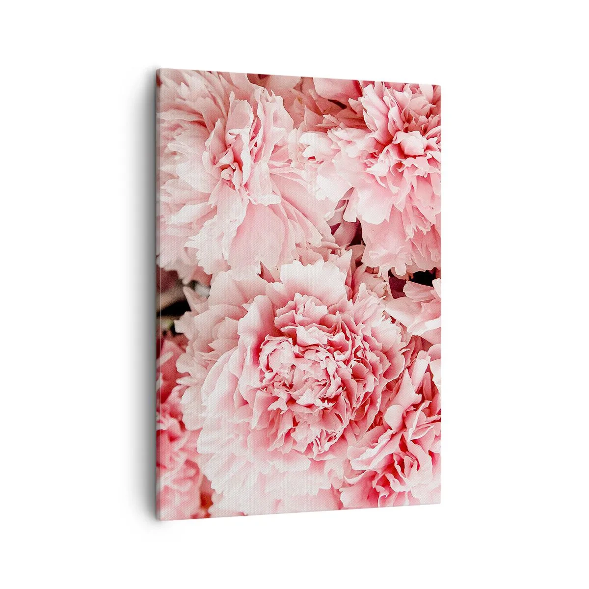 Impression sur toile - Image sur toile - Pivoines roses subtiles dans un décor délicat - 50x70cm - Rêve rose - Décoration murale moderne pour le salon et la chambre ARTTOR