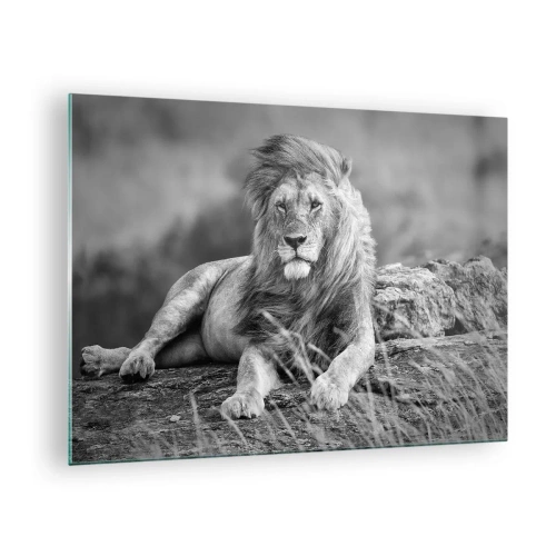 Impression sur verre - Image sur verre - Un lion reposant sur un rocher dans un paysage monochrome. - 70x50cm - Sieste royale - Décoration murale moderne pour le salon et la chambre ARTTOR