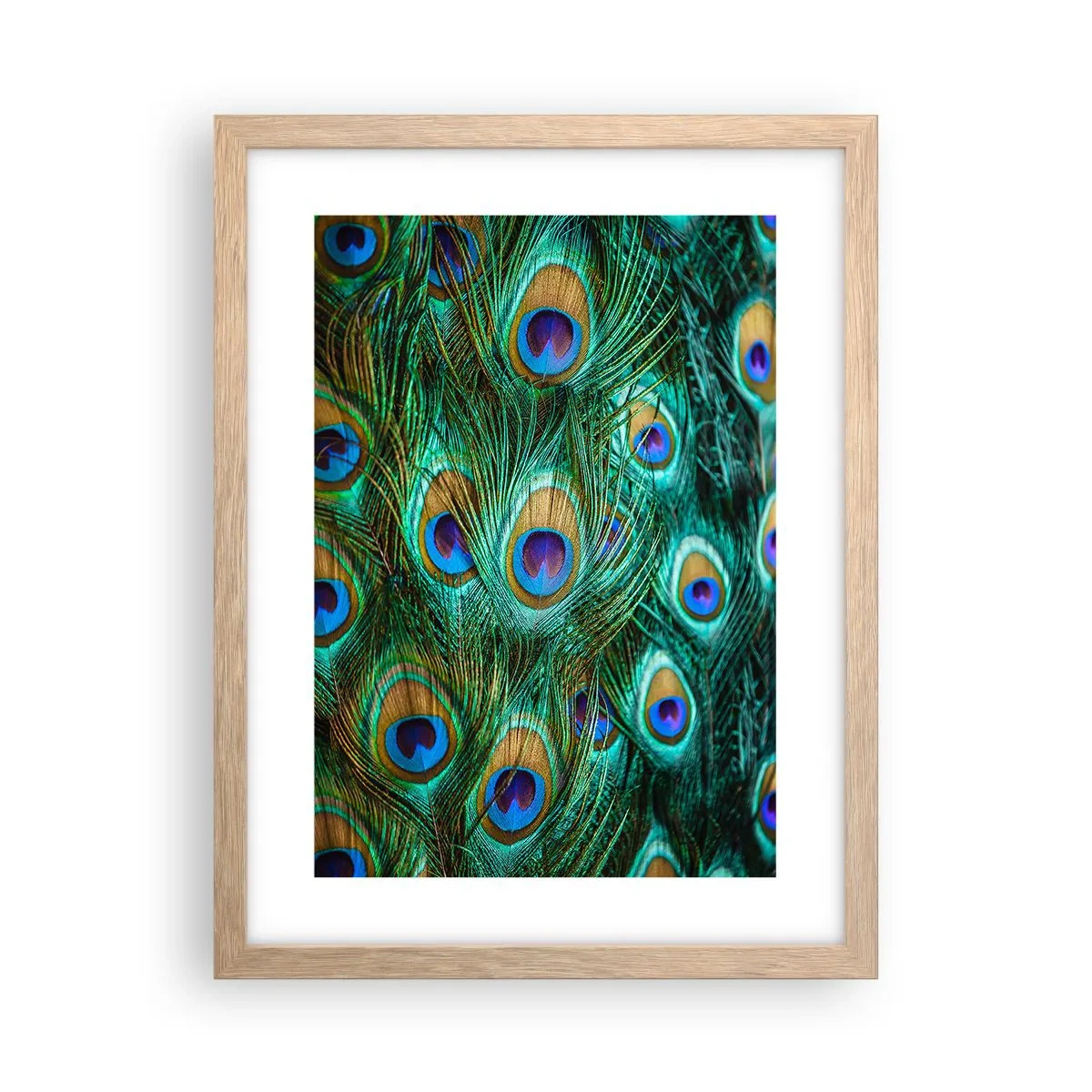 Affiche dans un chêne clair - Poster - Un regard de paon - 30x40 cm