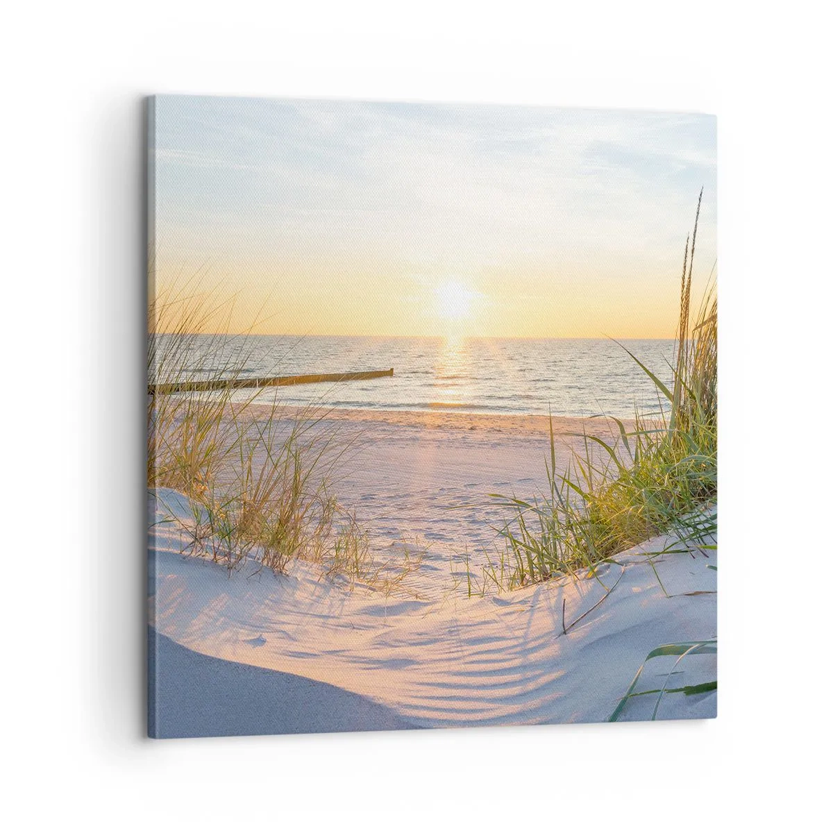 Impression sur toile - Image sur toile - Le bruit de la mer, le chant des oiseaux, une plage sauvage parmi les herbes… - 60x60 cm