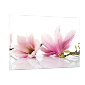 Impression sur verre - Image sur verre - Fleurs de magnolia délicates sur fond blanc - 120x80cm - Délicat comme une brise de printemps - Décoration murale moderne pour le salon et la chambre ARTTOR