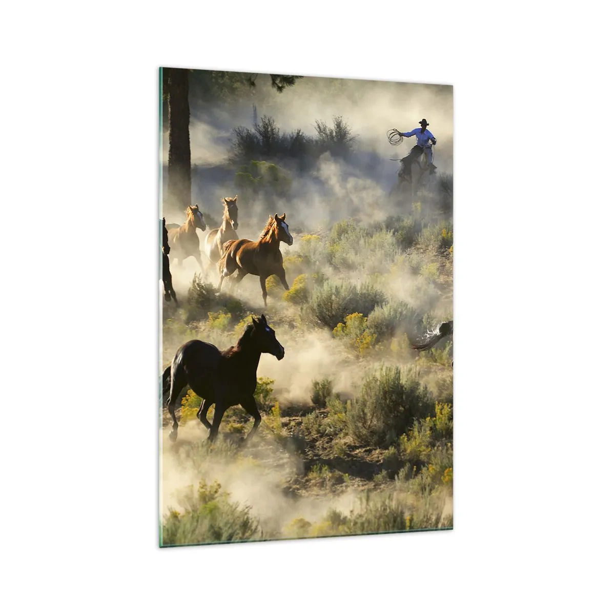 Impression sur verre - Image sur verre - Un troupeau de chevaux sauvages galopant à travers la poussière et la végétation - 70x100cm - Rivalité - liberté ou force masculine ? - Décoration murale moderne pour le salon et la chambre ARTTOR