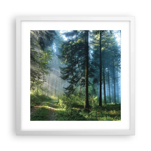 Affiche dans un cadre blanc - Poster - Rayonnant le matin - 40x40 cm