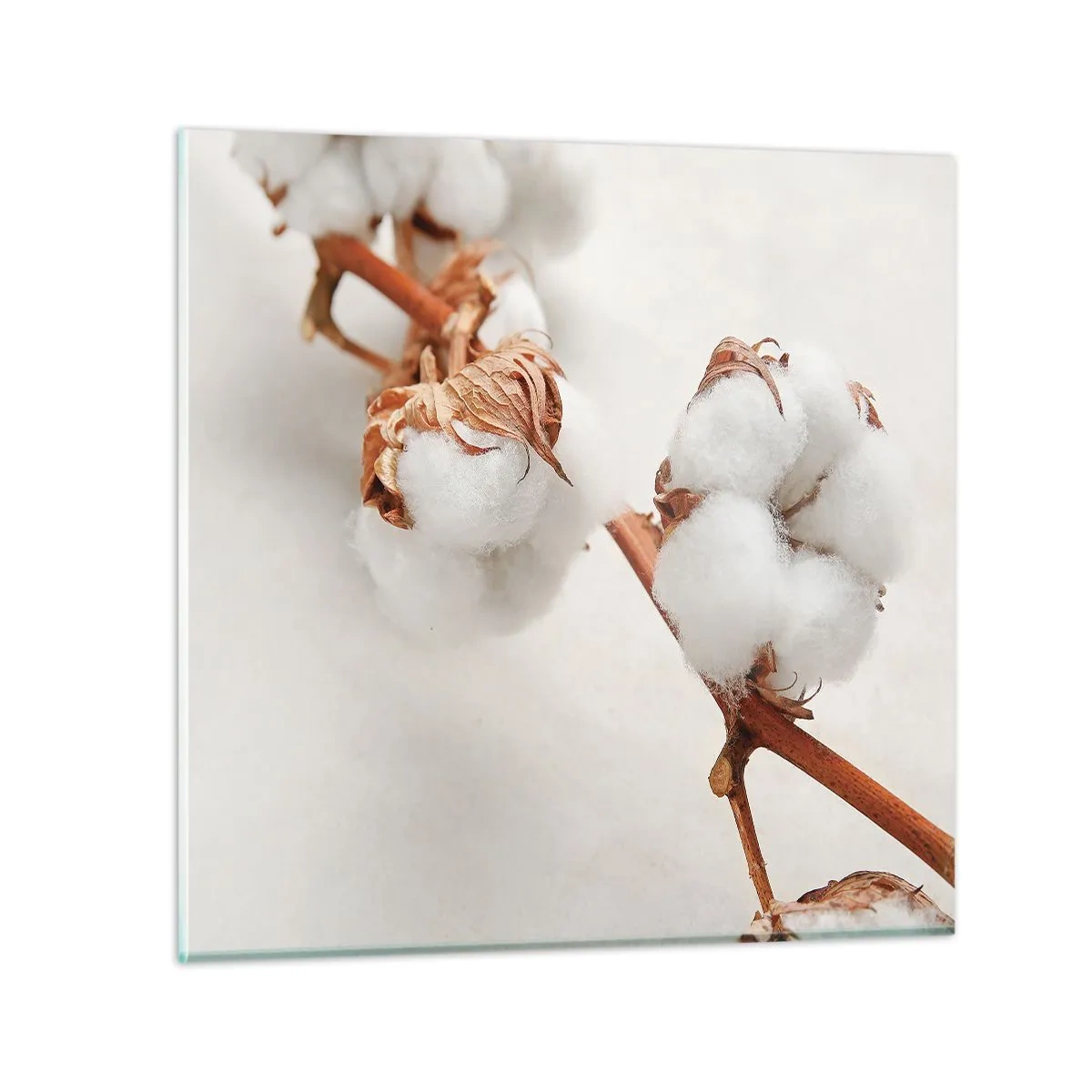 Impression sur verre - Image sur verre - Seulement caliner - 70x70 cm