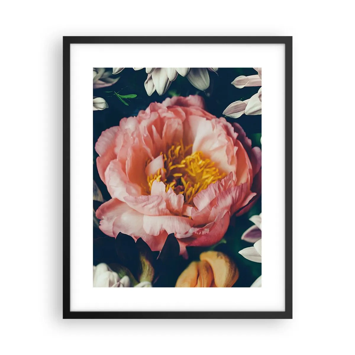 Affiche dans un cadre noir - Poster - Splendeur baroque - 40x50 cm