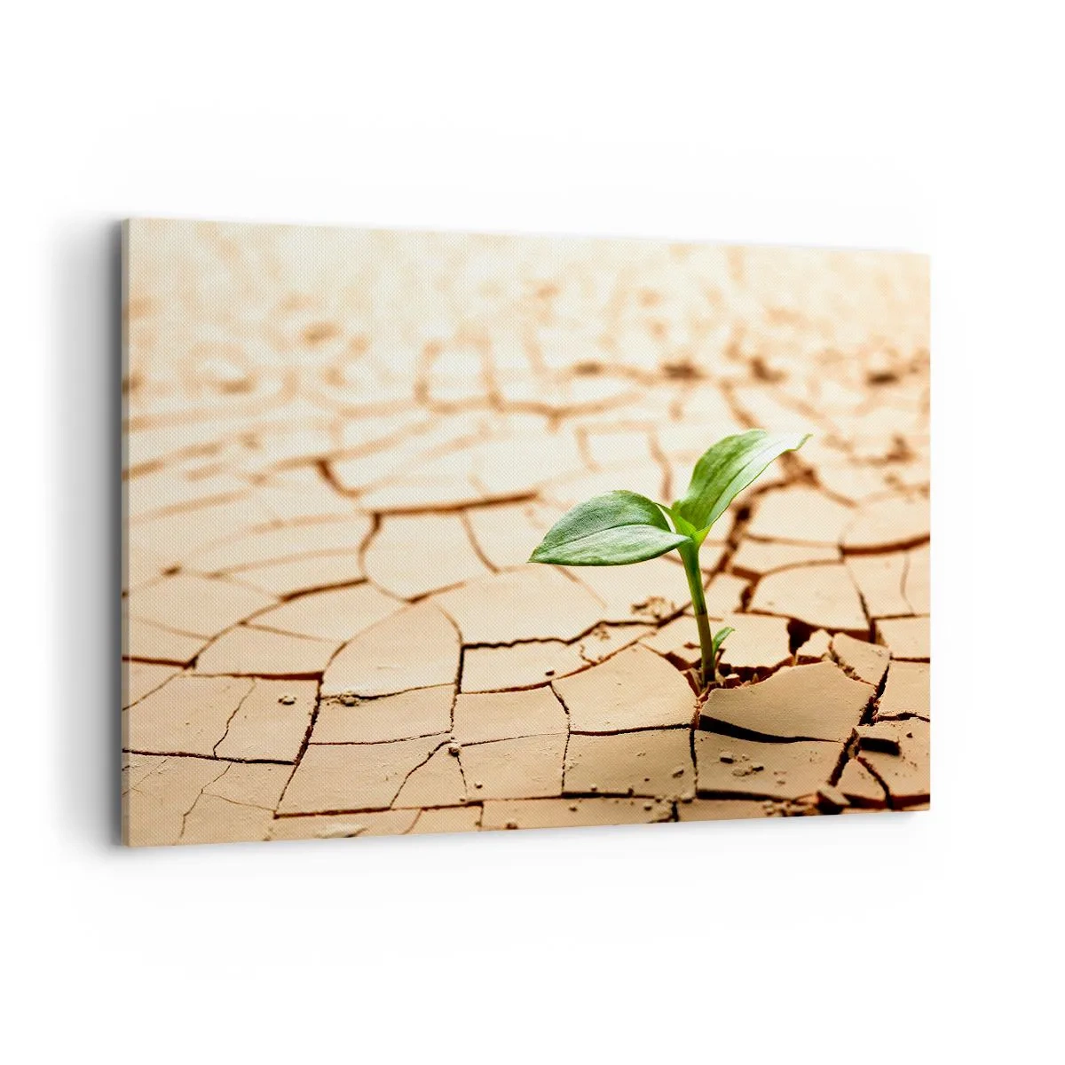 Impression sur toile - Image sur toile - Une plante verte poussant sur une terre sèche et craquelée - 120x80cm - La force indomptable de la vie - Décoration murale moderne pour le salon et la chambre ARTTOR