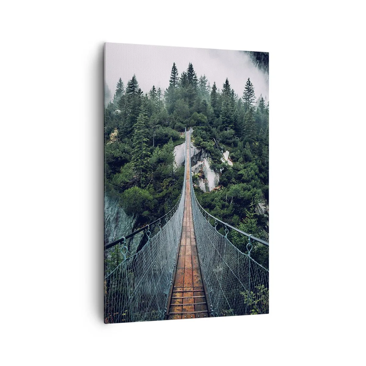 Impression sur toile - Image sur toile - Uniquement pour les aigles - 80x120 cm