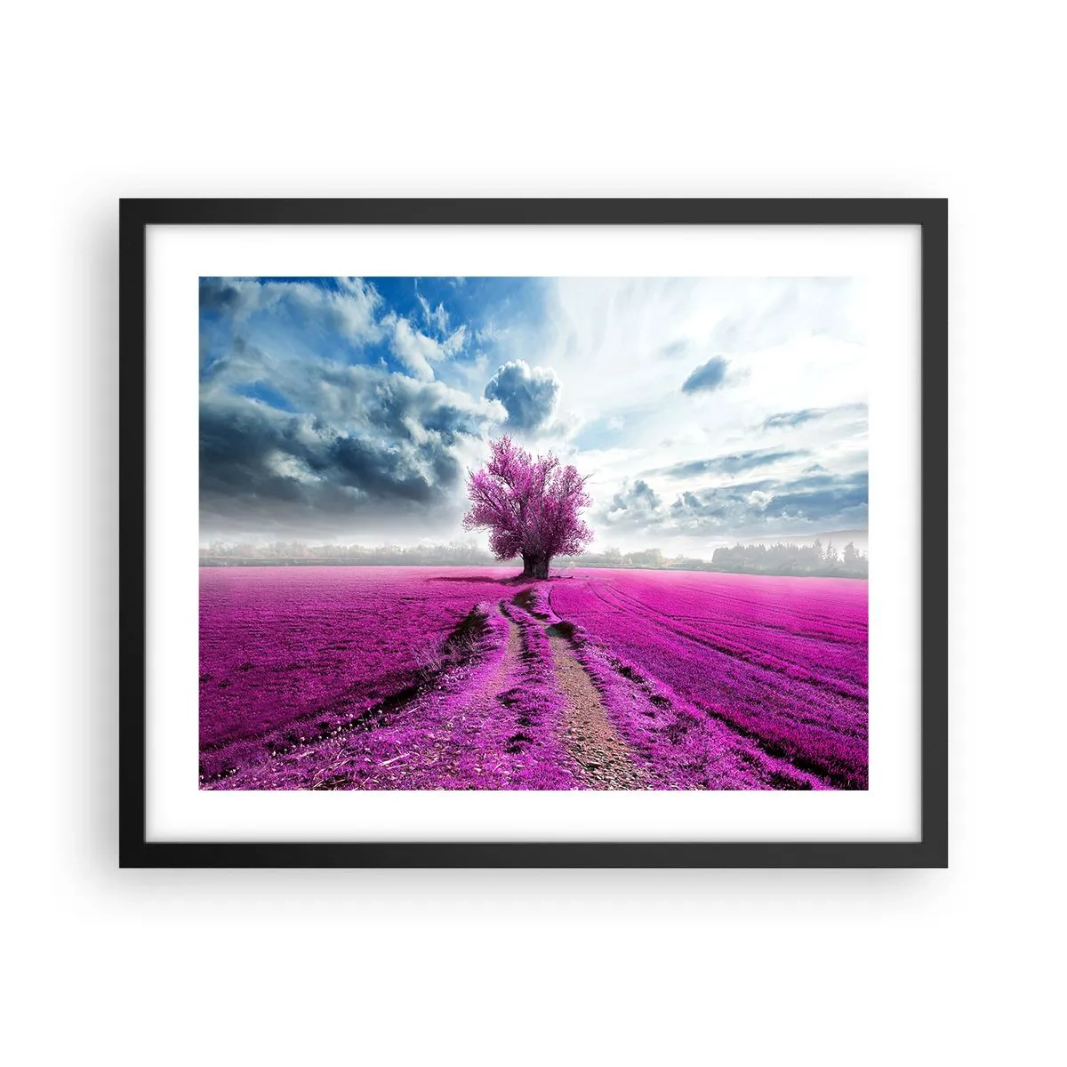 Affiche dans un cadre noir - Poster - Lande - nature sauvage - 50x40 cm