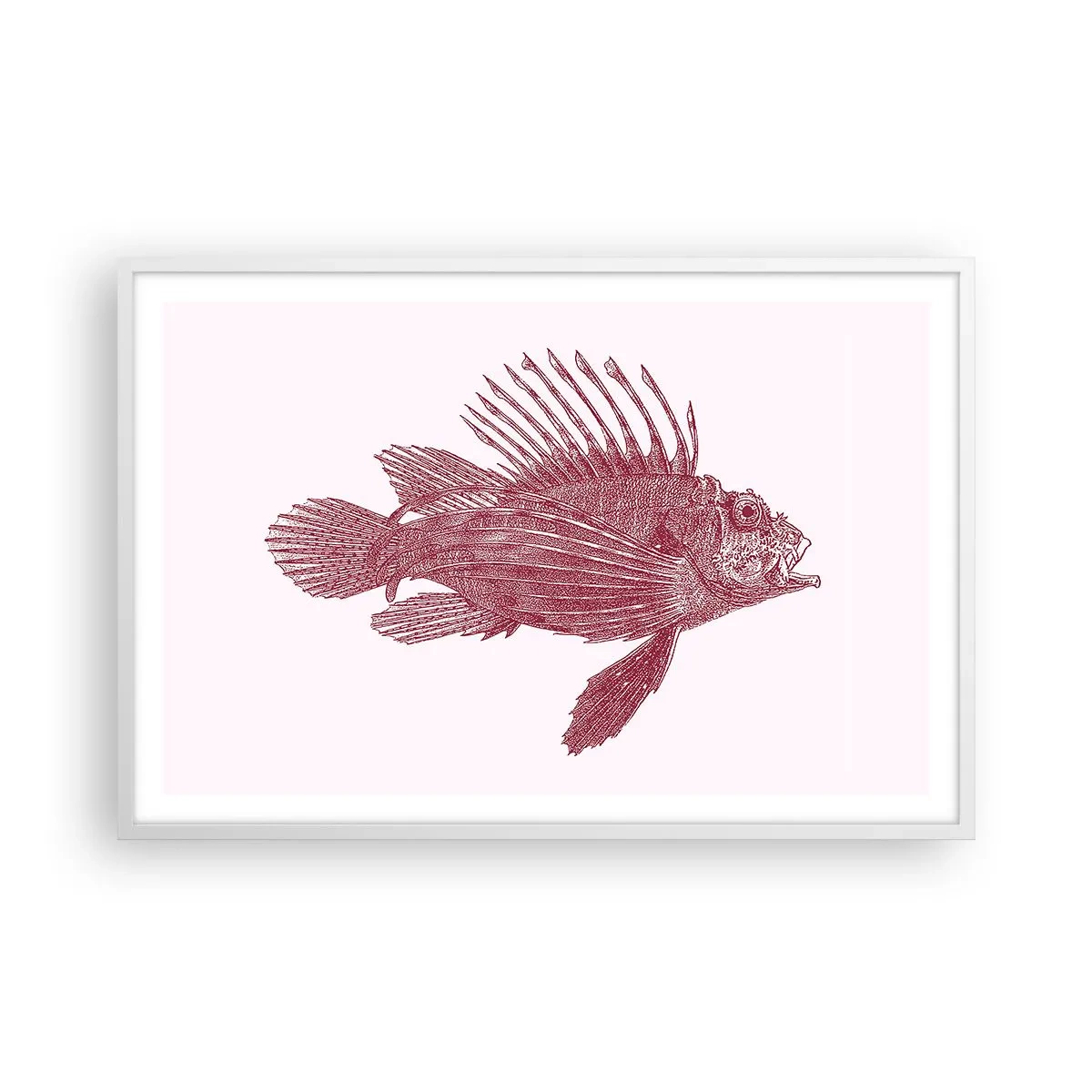 Affiche dans un cadre blanc - Poster - Un habitant des eaux exotiques - 91x61 cm