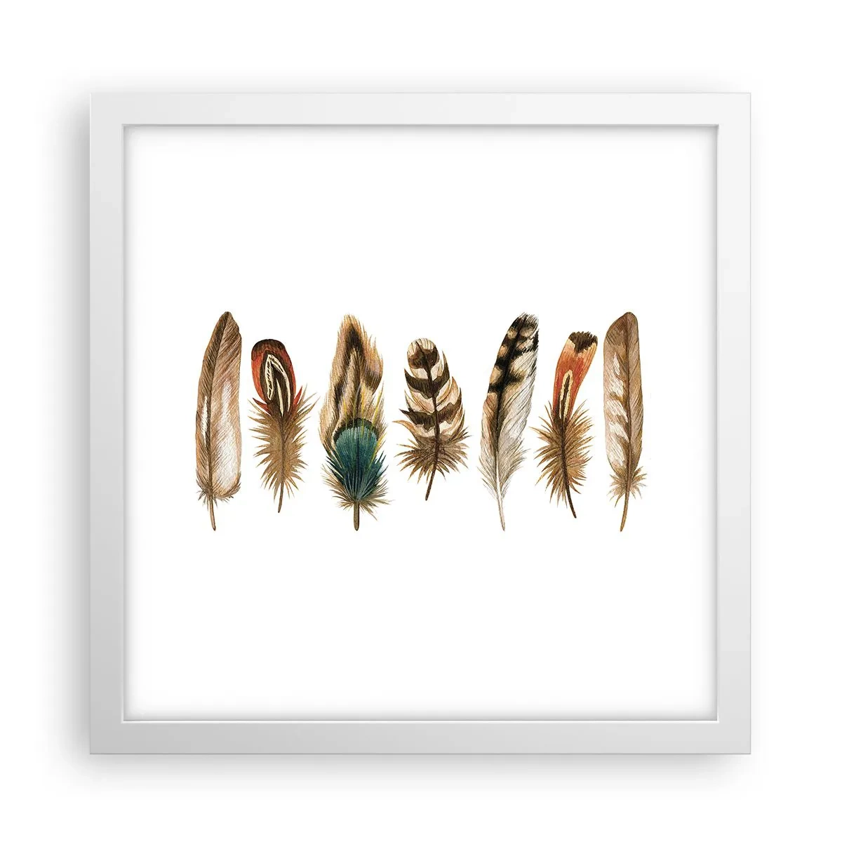 Affiche dans un cadre blanc - Poster - Variation à plumes - 30x30 cm