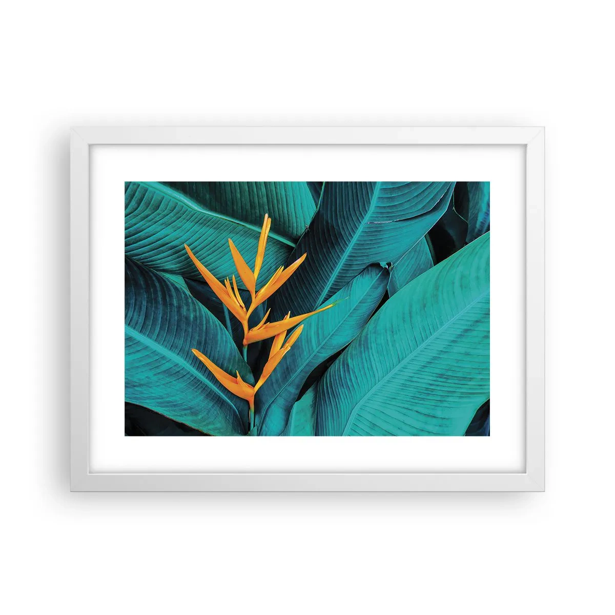 Affiche dans un cadre blanc - Poster - Fleur d'Eden - 40x30 cm