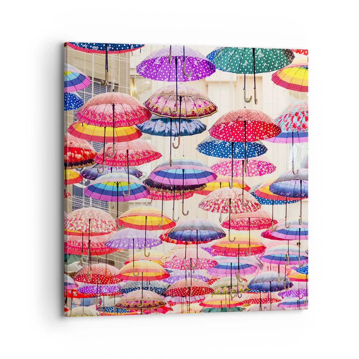 Impression sur toile - Image sur toile - Prairie de la ville - 70x70 cm