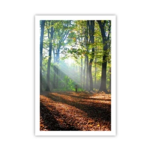 Affiche - Poster - Ombres et lumières - 61x91 cm