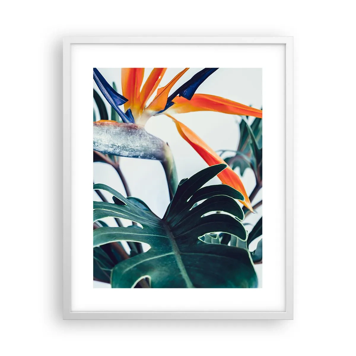 Affiche dans un cadre blanc - Poster - Le buisson oiseaux - 40x50 cm