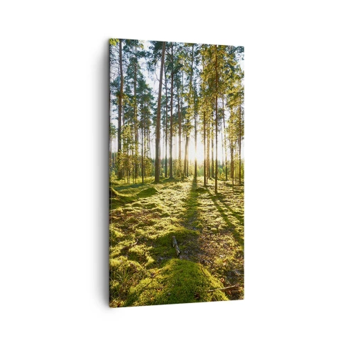 Impression sur toile - Image sur toile - … Derrière les sept forêts - 45x80 cm