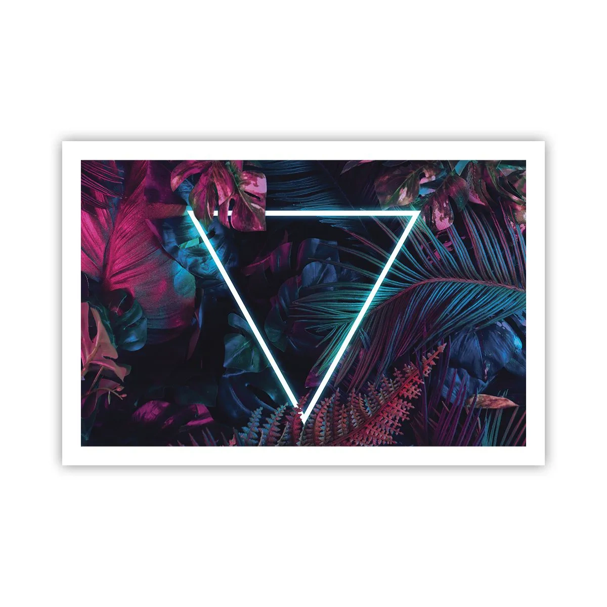 Affiche - Poster - Jardin de style disco - 91x61 cm