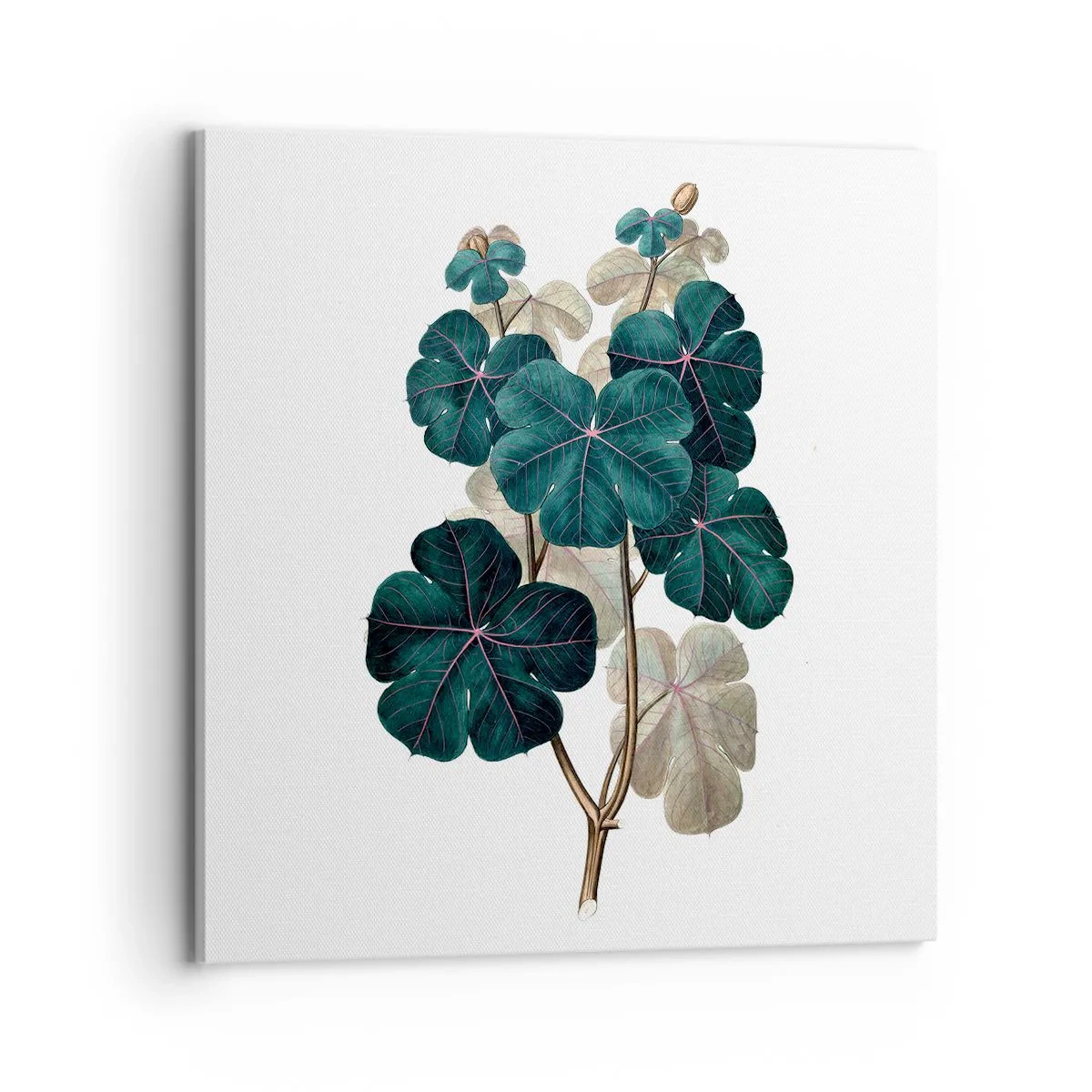 Impression sur toile - Image sur toile - De l'ancien herbier - 70x70 cm