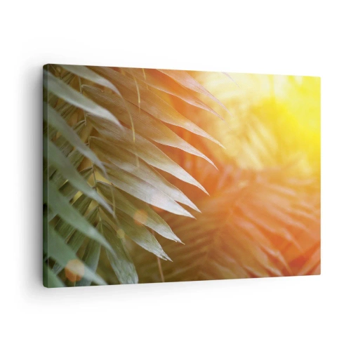 Impression sur toile - Image sur toile - Feuilles de palmier dans les rayons du soleil couchant - 70x50cm - Matinée dans la jungle - Décoration murale moderne pour le salon et la chambre ARTTOR