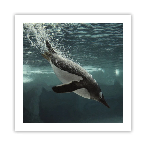 Affiche - Poster - Bienvenue dans mon monde - 50x50 cm