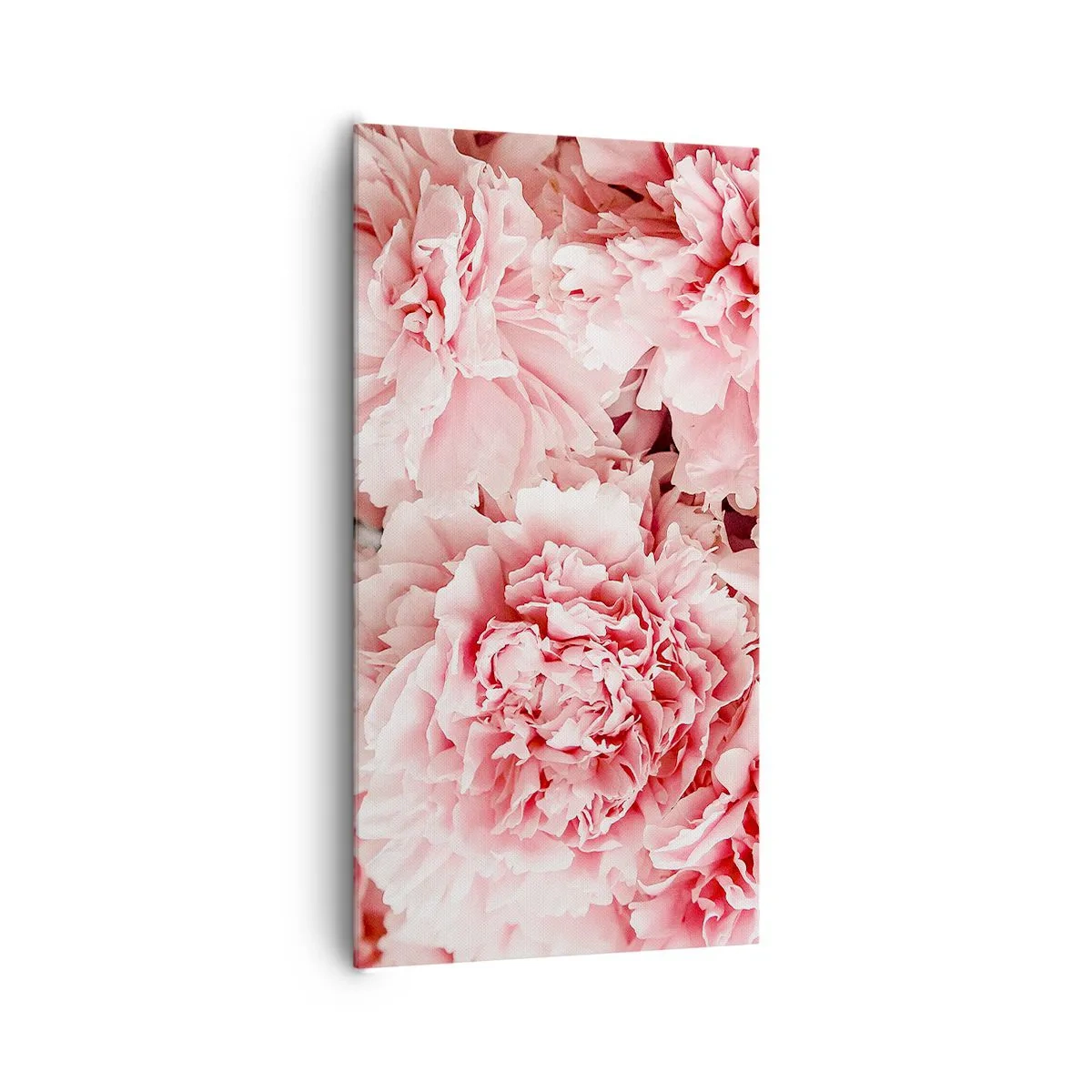 Impression sur toile - Image sur toile - Rêve rose - 65x120 cm