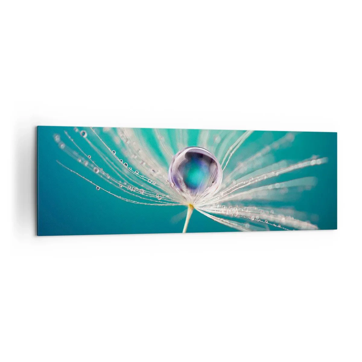 Impression sur toile - Image sur toile - Macro d'une goutte d'eau sur une délicate graine de pissenlit - 160x50cm - Moment mystique - Décoration murale moderne pour le salon et la chambre ARTTOR